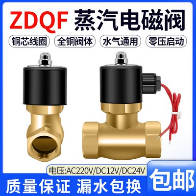 黄铜耐高温蒸汽电磁阀220v/24v控制阀门开关2L/US-15/20/25/32/40