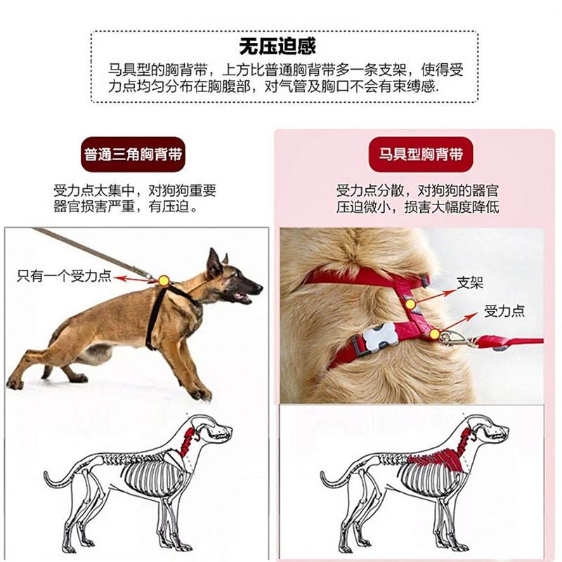 RedDingo瑞鼎狗 狗狗胸背带防爆冲宠物背心式小型大型犬金毛泰迪