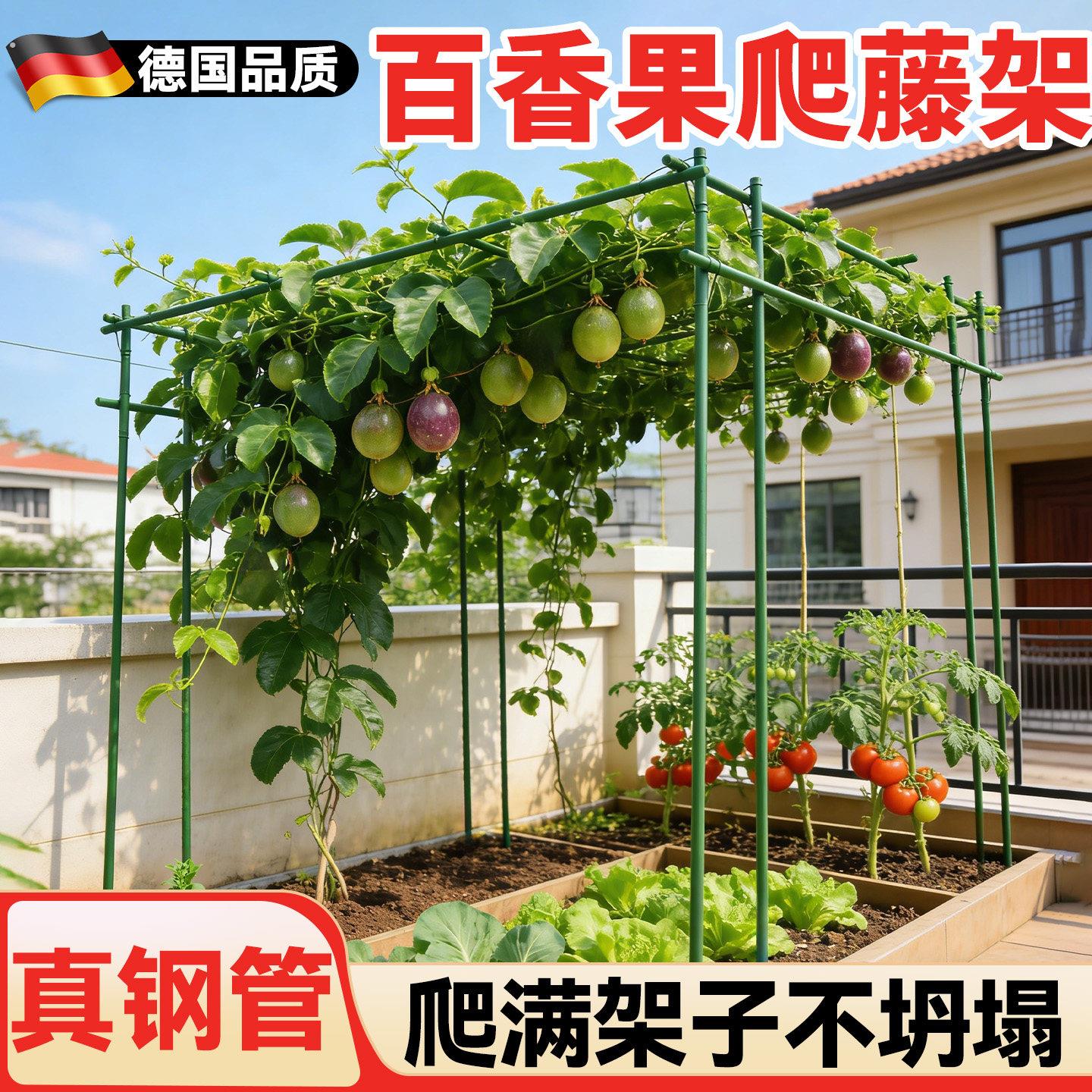百香果爬藤架葡萄架子庭院户外黄瓜豆角架杆丝瓜葫芦搭棚子支撑架