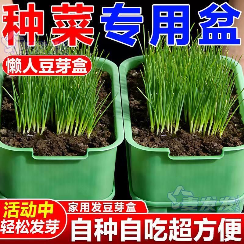 新款发豆芽机家用快速发豆芽种植发芽盆豆芽机种菜专用发豆芽神器