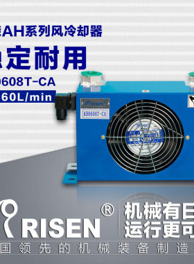 Risen 日森 风冷却器 油冷却器 AH0608T-CA-AC/DC 60L 电压AC/DC