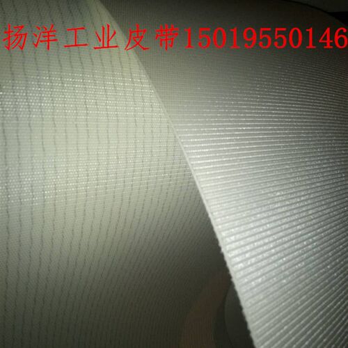 两面白色纤维食品带 酥皮机皮带工业食品带流水线输送机器