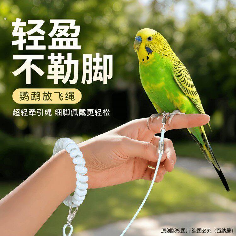 鹦鹉放飞绳不伤脚超轻牵引绳虎皮玄凤牡丹小太阳脚环脚链遛鸟绳子