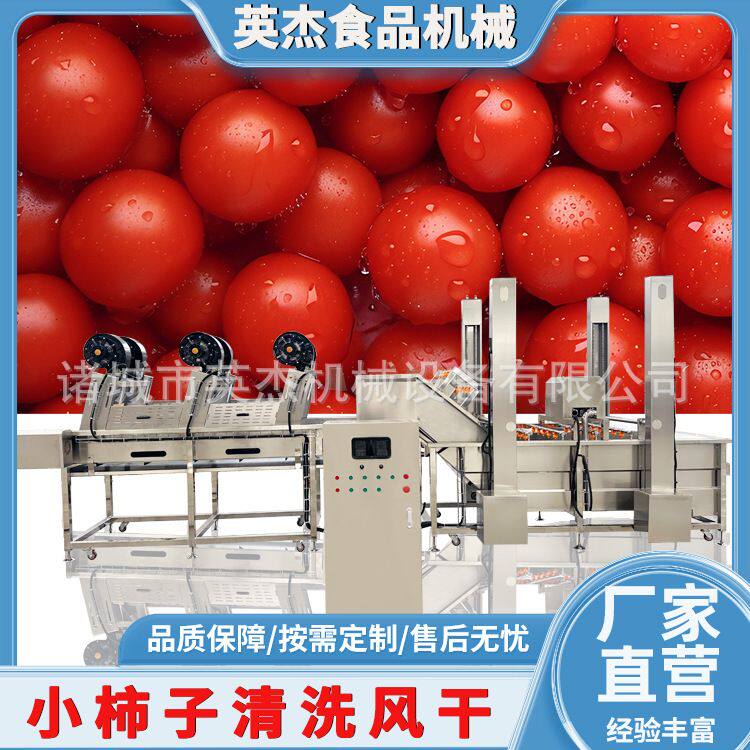 小柿子清洗风干流水全套净菜加工清洗流水线 果蔬清洗成套设备