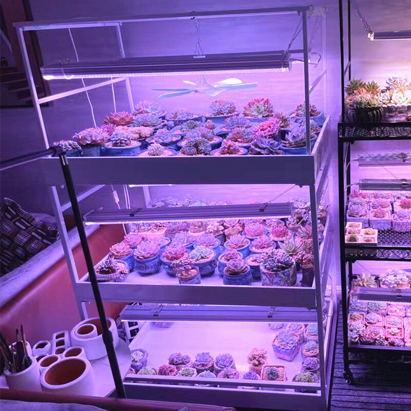 阳台多肉花架落地多层室内接水盘水槽挂灯架移动带轮室外花架