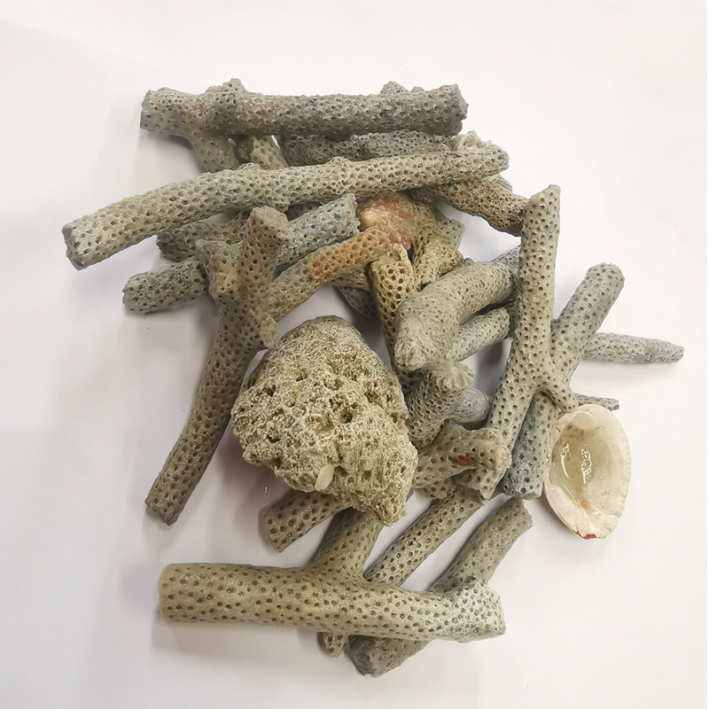 鱼缸珊瑚骨精选珊瑚石砂鱼海鲜池养殖过滤材料底沙调节PH值送网袋图片