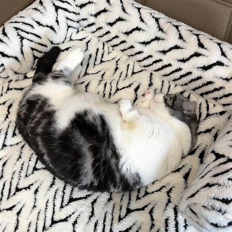 宠物沙发垫猫垫子四季通用猫窝狗窝沙发保护防猫抓加厚防滑睡觉垫