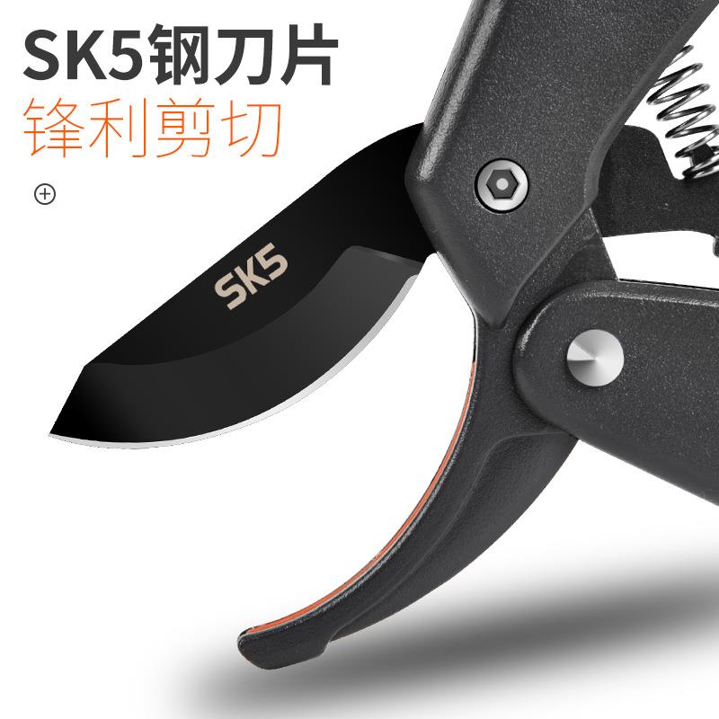 齿轮剪树枝剪园艺 SK85齿轮园林翦修枝剪刀果树花枝剪剪刀摘果剪图片