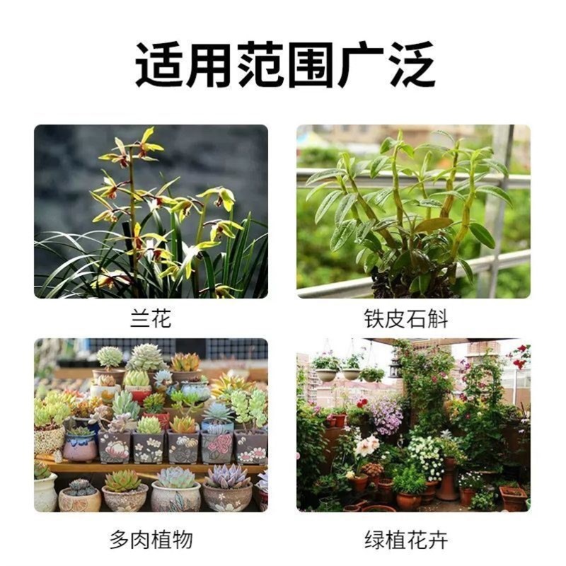 兰花专用肥土植料松树皮发酵腐熟蝴蝶兰君子兰墨兰水苔通用覆盖物