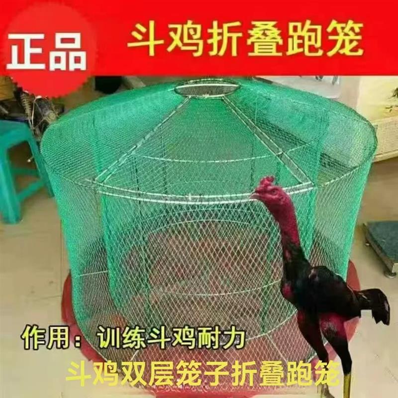 斗鸡跑笼斗鸡笼斗鸡折叠双层训练笼子鸡笼斗鸡罩笼养斗鸡专用笼子