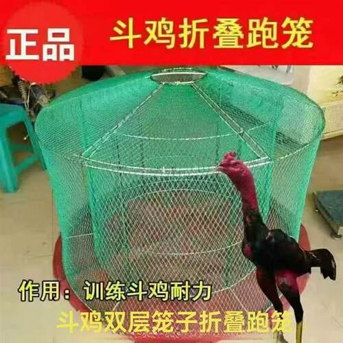 斗鸡跑笼斗鸡笼斗鸡折叠双层训练笼子鸡笼斗鸡罩笼养斗鸡专用笼子