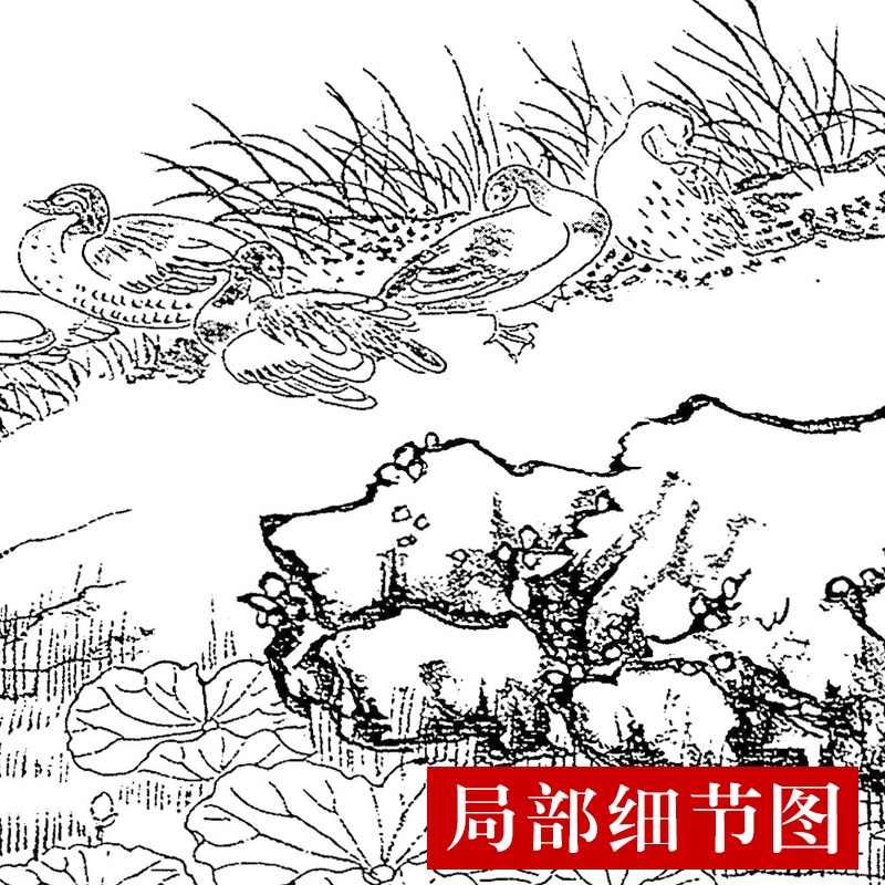 CQ20工笔画白描打印底稿古画长卷清沈铨-百鸟朝凤图临摹练习线描