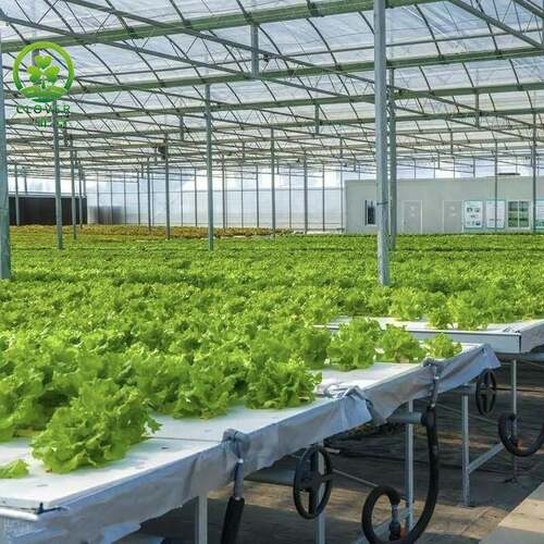 无土栽培设施温室大棚适用水培基质栽培雾培浮板水培袋培垂直栽培