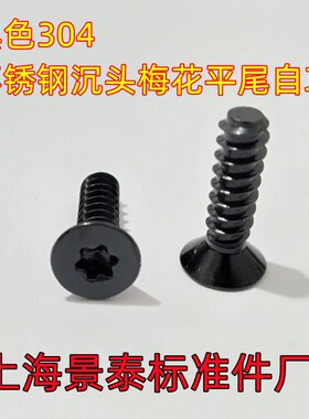 黑色304不锈钢沉头内六角平尾自攻螺丝钉 M5.5X20X22