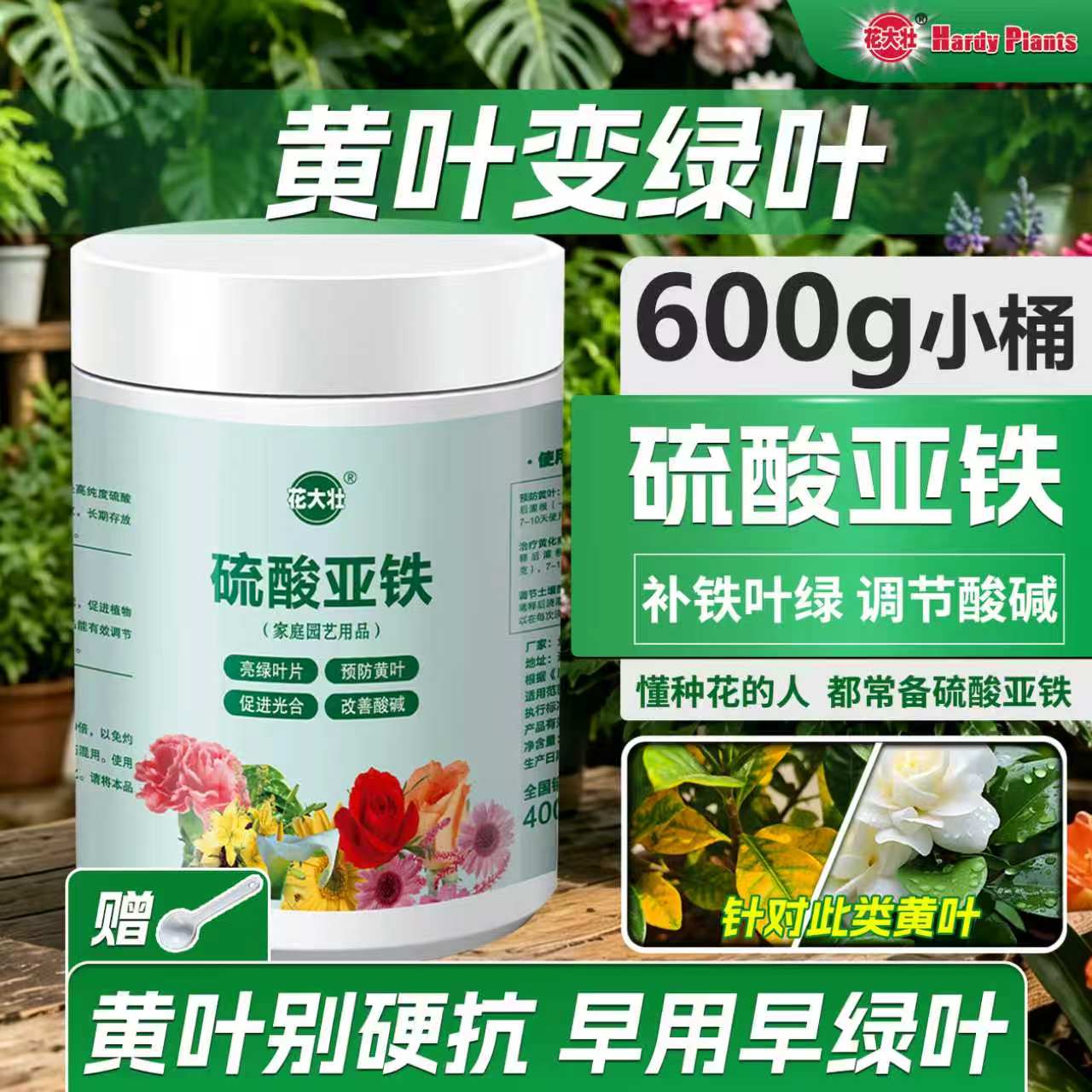 【旗舰优选】花大壮硫酸亚铁600g图片