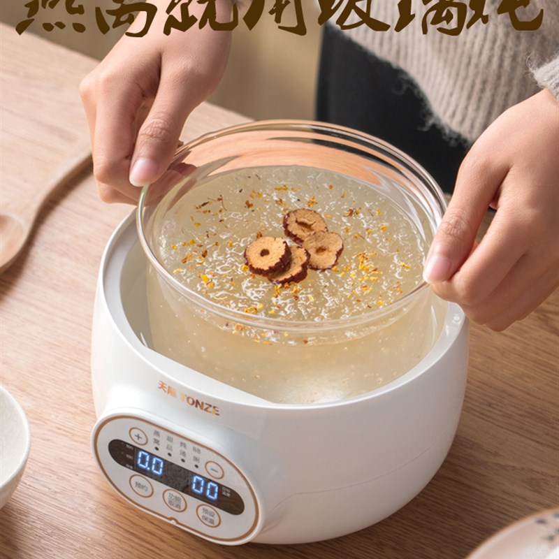 天际小电炖锅燕窝炖盅专用玻璃雪燕隔水炖煲汤养生桃胶银耳家用机