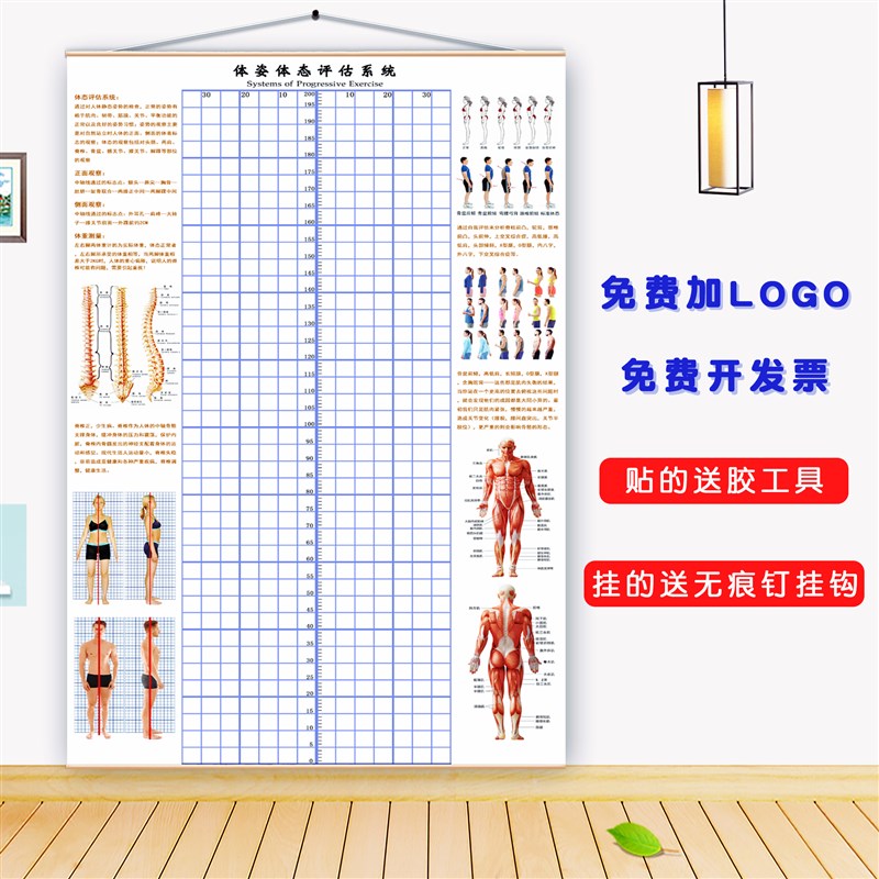 体态评估图健身房体测表瑜伽私教身体形体测评脊椎修复墙壁画装饰