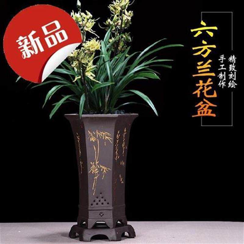 精品紫砂兰花盆兰带托盘兰草盆景陶瓷盆栽室内客厅兰花专用盆包邮