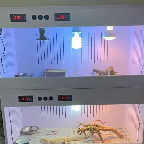 PVC爬虫饲养箱 蜥蜴陆龟蛇恒温鬃狮爬箱加热保温箱爬宠箱守宫箱