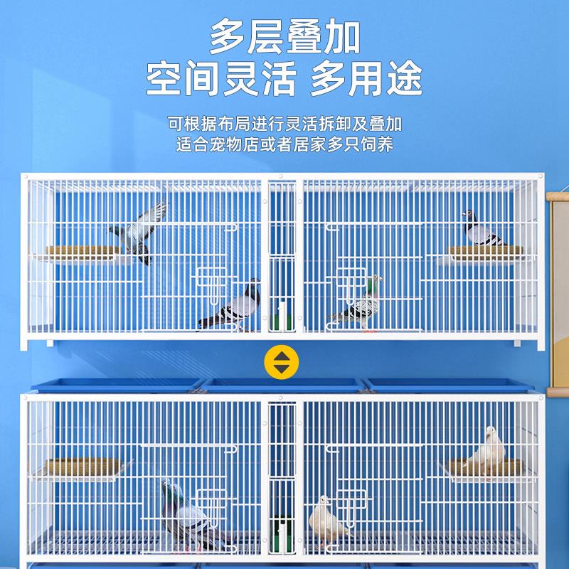 三层鸽子笼养殖笼大空间加密加固家用室内鸽笼鸽舍多层宠物繁殖笼