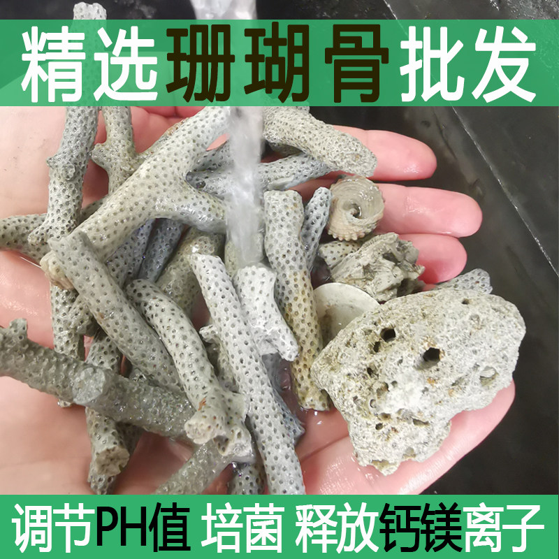 鱼缸珊瑚骨精选珊瑚石砂鱼海鲜池养殖过滤材料底沙调节PH值送网袋