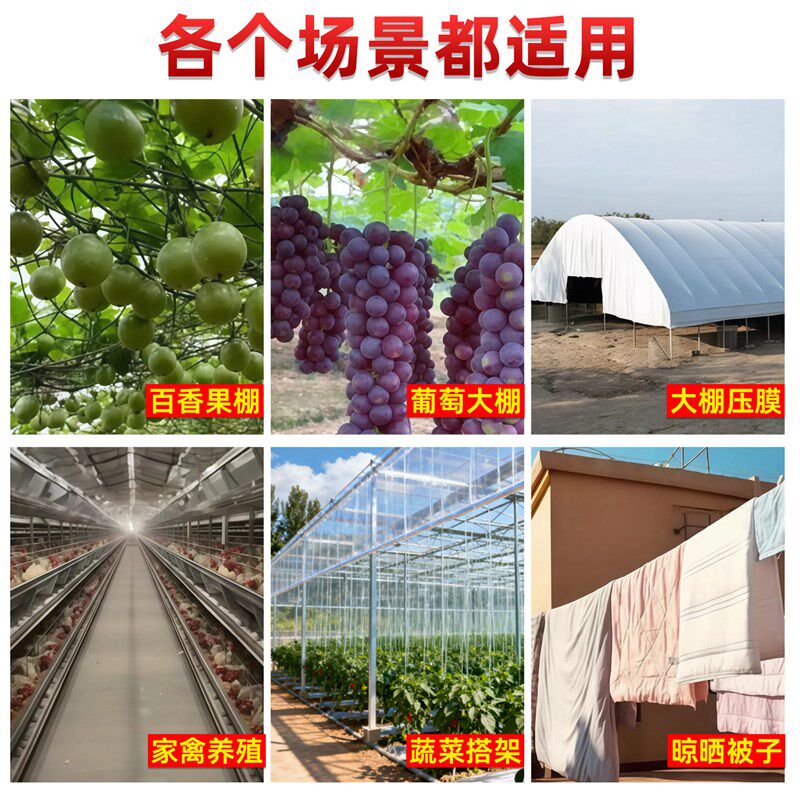 新型塑钢线温室大棚配件农用葡萄架爬藤网床拉丝钢丝绳大棚固定绳