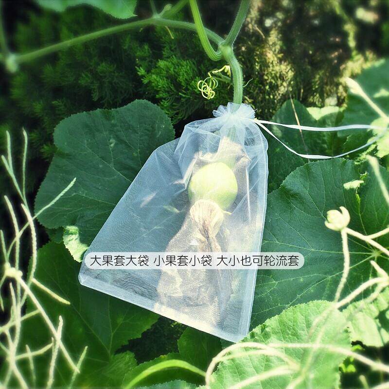 水果套袋防鸟网纱袋透气瓜果防虫袋果树无花果葡萄桃子草莓保护袋
