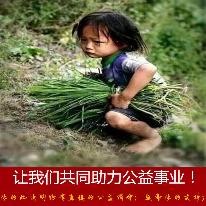 上海四有铃牌兽用鸡鸭鹅鱼小动物1毫升可调自动疫苗连续注射器针
