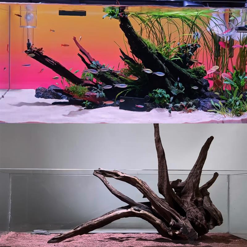 森系70-120鱼缸造景沉木南美多枝树桩侧飘拱桥龟蟹攀爬蜥蜴躲避屋
