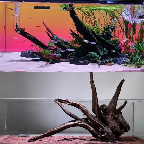 森系70-120鱼缸造景沉木南美多枝树桩侧飘拱桥龟蟹攀爬蜥蜴躲避屋