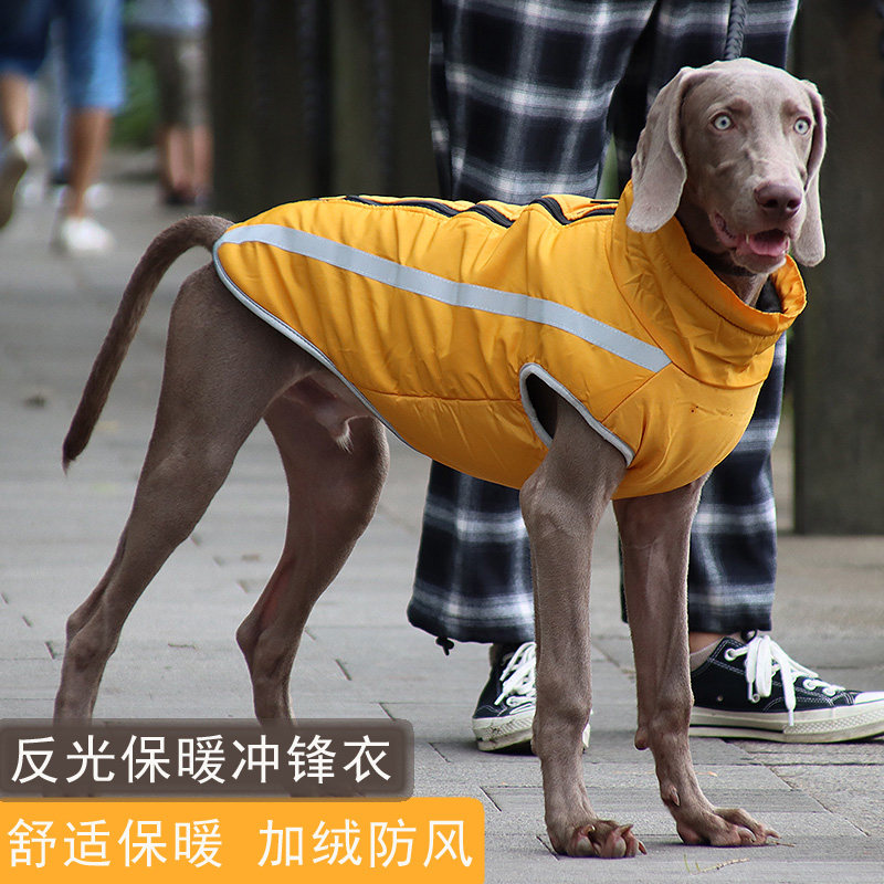 宠物大狗衣服冬装加厚保暖金毛杜宾衣服冬季中大型犬狗棉衣酷帅