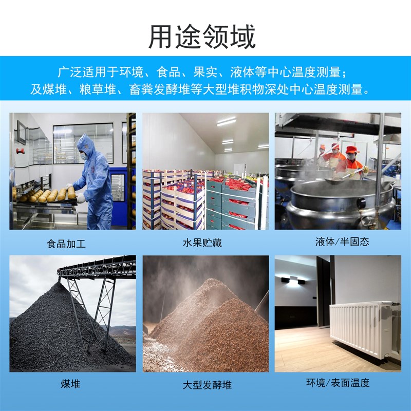 食品中心温度表CYBT-5A果心温度计 插入式不锈钢探针 高精度 手持