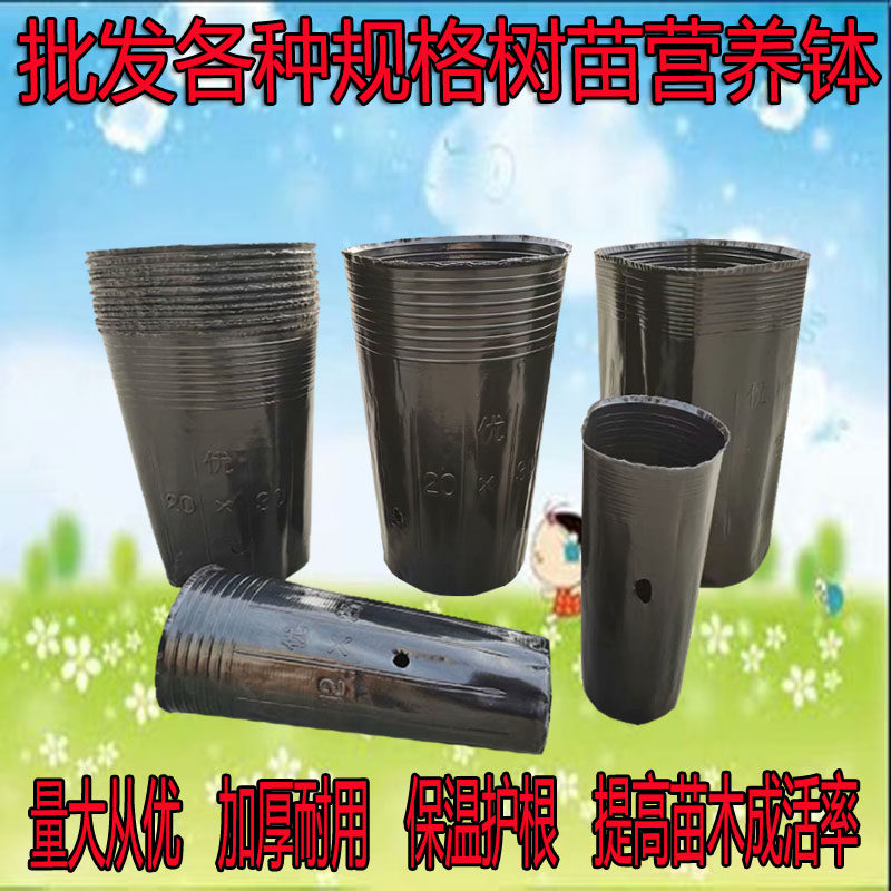 加高营养钵高桶脐橙柑橘苗方口育苗钵圆口育苗杯黑色塑料盆树苗杯