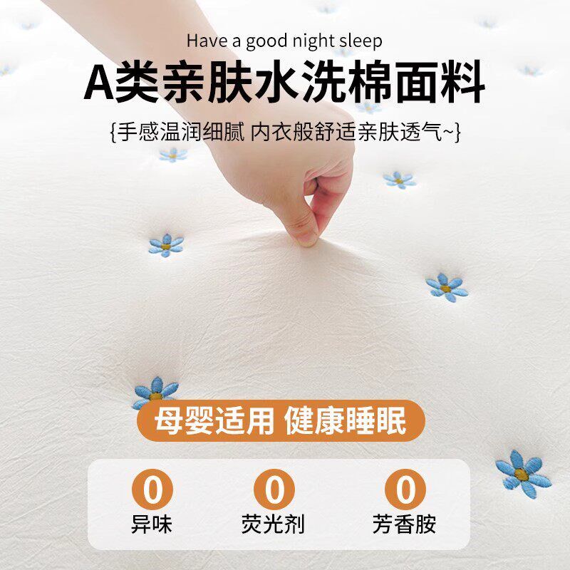 意大利A类大豆床垫遮盖物家用软垫床褥薄款垫被褥子防滑床护垫