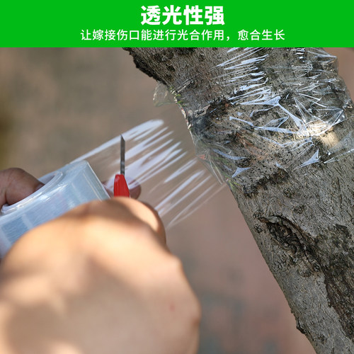 黑色嫁接膜果树膜保鲜膜缠绕膜包物胶膜pe透明自粘式pvc小卷膜
