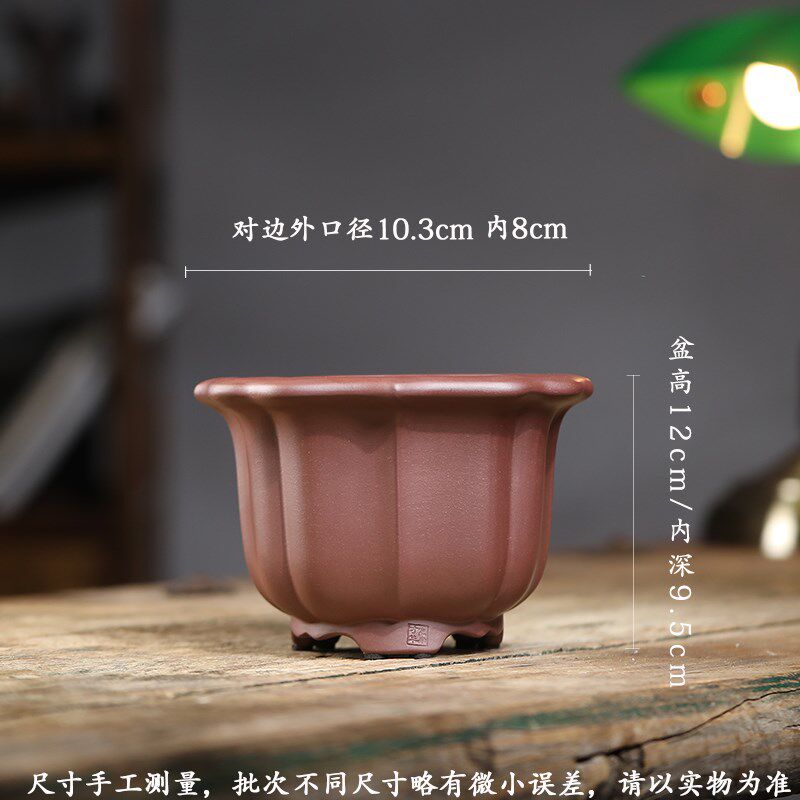 尚扣紫砂 匠人手工菱花四方花盆 桌面中式素雅绿植盆景花器兰花盆