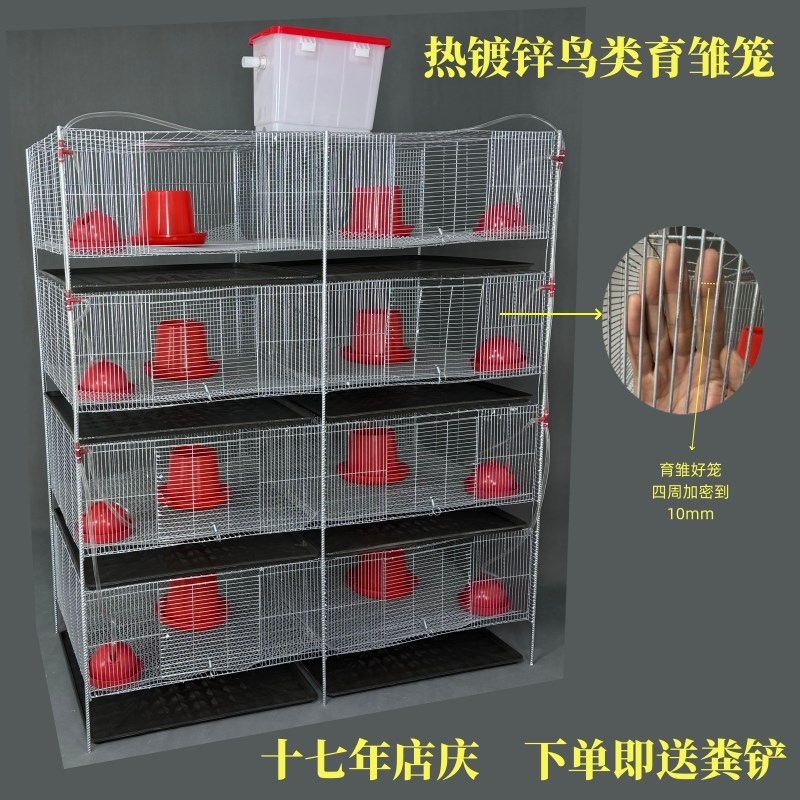 新品鹌鹑鹧鸪鹦鹉芦丁鸡育雏笼热镀锌高防锈豚鼠养殖笼保温网箱笼
