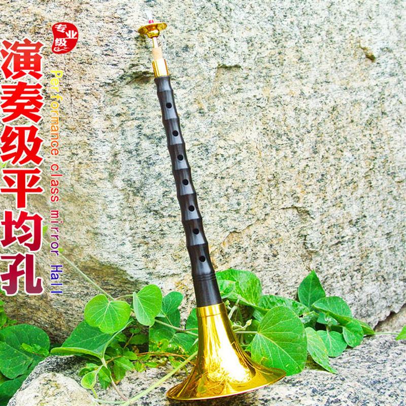 平均孔唢呐乐器传统降b调大中小号黑檀乌木不定调D演奏黄铜镀金碗