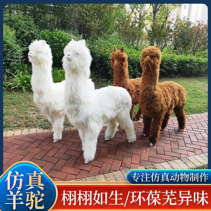 仿真动物羊驼模型风景区草泥马落地摆件皮毛工艺礼品摆饰仿真驼羊