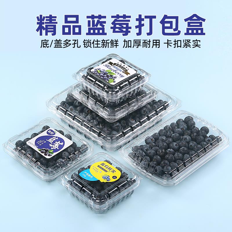 蓝莓盒一次性方形树莓包装盒蓝莓塑料盒多容量食品级水果打包盒