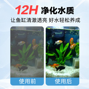 博特鱼缸过滤材料玛雅石培菌球滤材中空球石英球硝化细菌屋陶瓷环