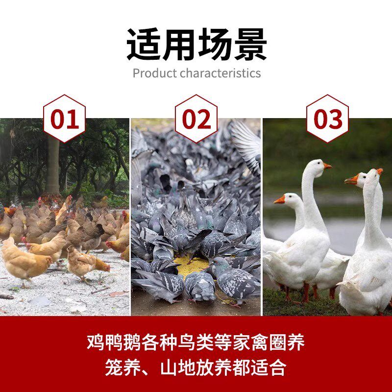 大号鸡鸭鹅饮水器家禽自动加水器水壶水槽食槽水桶料桶鸽子喂水器