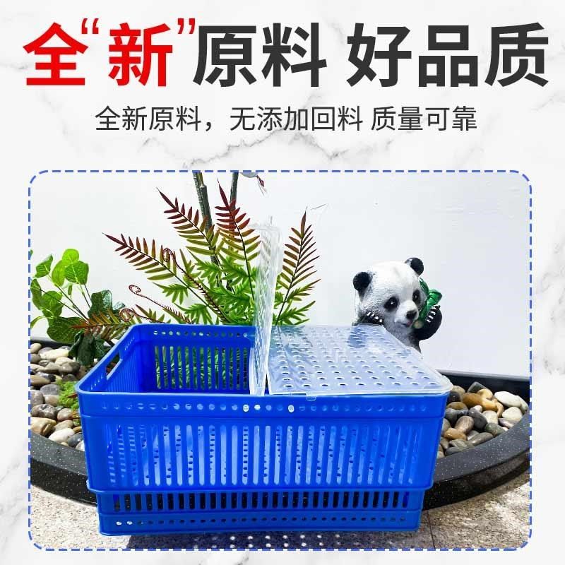 加厚虾箱大矩形海鲜壳蛤蜊储存排水塑料篮透水篮酒店市场