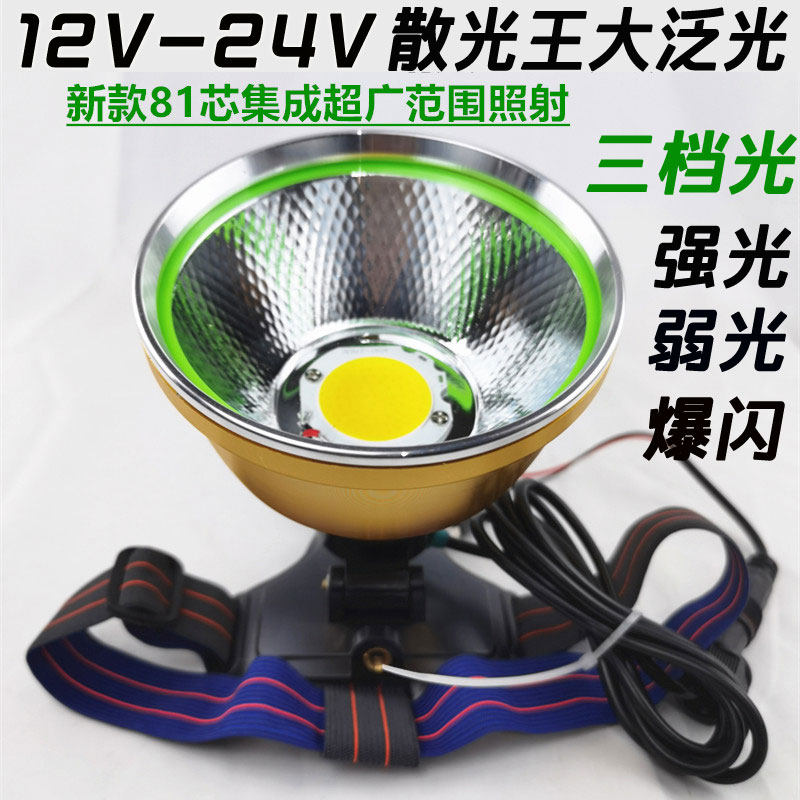 12v散光头灯超亮大泛光抓鱼黄鳝蚂蟥白光聚光强光led外接电瓶灯头