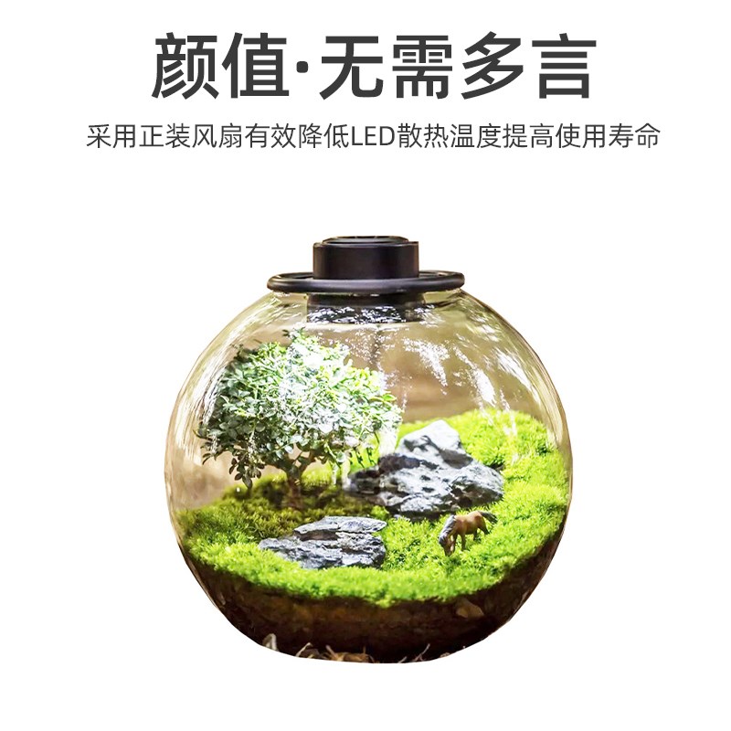 桌面自循环免打理微观生态瓶圆形苔藓diy植物造景玻璃绿植生态缸