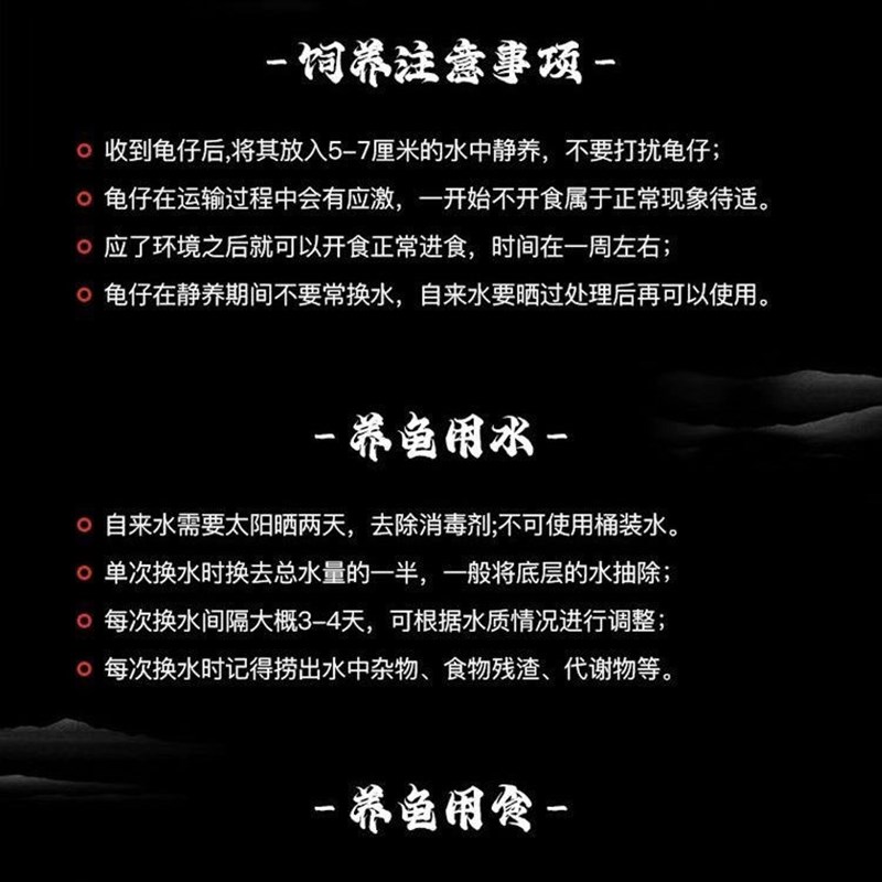 正宗原种纯佛鳄龟爆刺鳄鱼龟幼苗纯佛鳄龟活物北美小乌龟活体