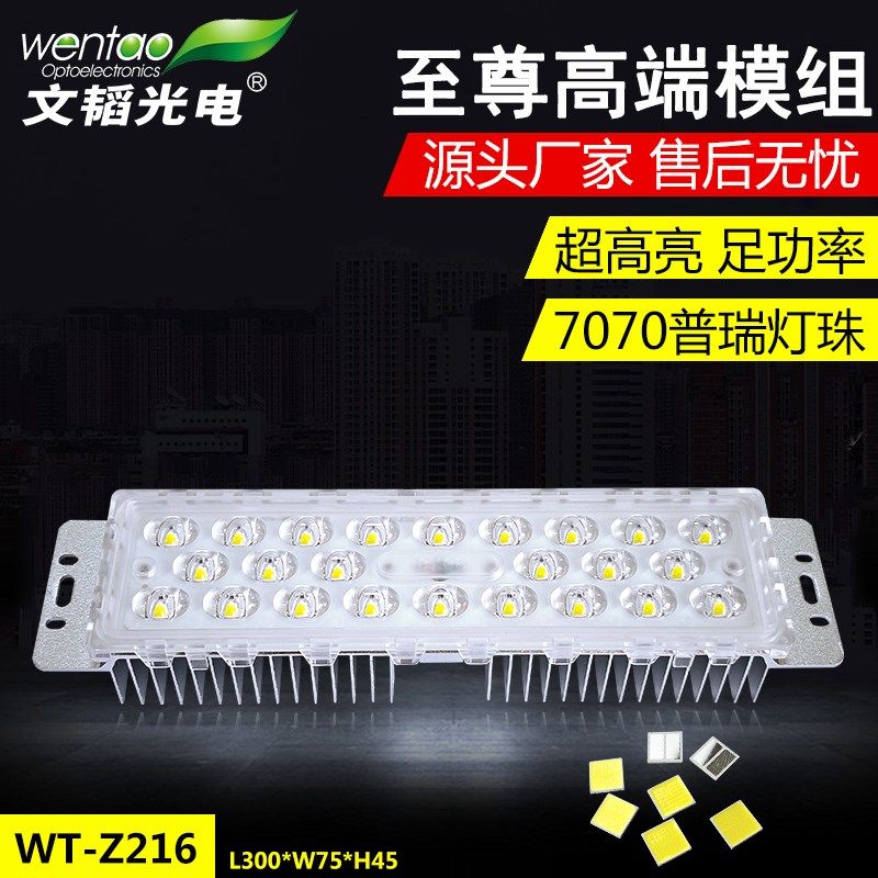 7070灯珠LED路灯模组高流明光源模块50W54V市政工程亮化光源模组