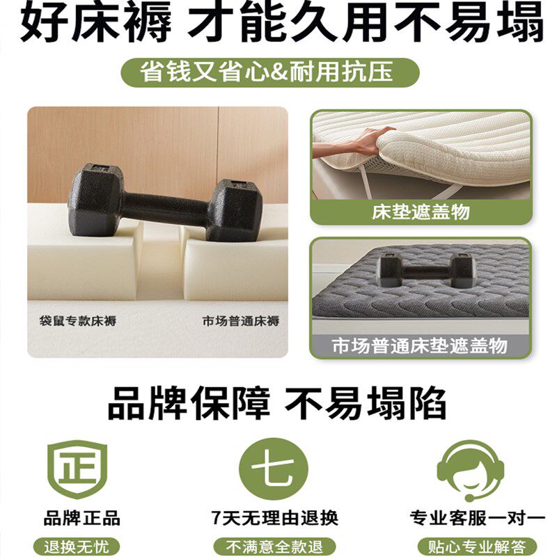 乳胶床垫软垫家用卧室床垫子180x200租房专用榻榻米a类1米5床褥子