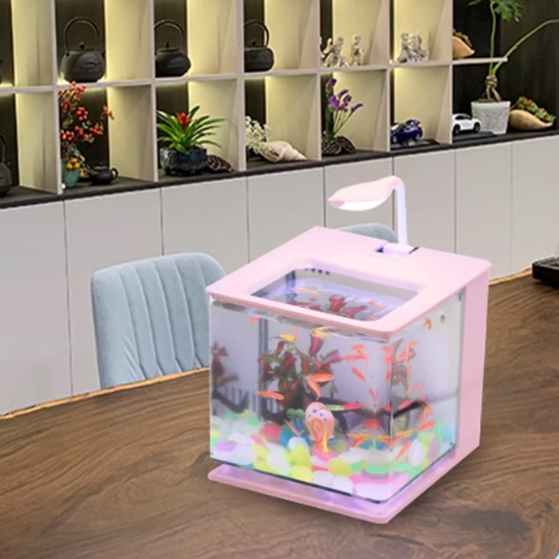 桌面迷你鱼缸客厅小型金鱼缸创意亚克力塑料小型观赏鱼用孔雀全套