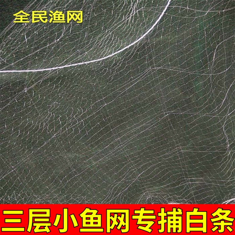 4分眼三层小鱼网半指渔网捕白条粘网抓餐条丝网马口沙丁678分沉网